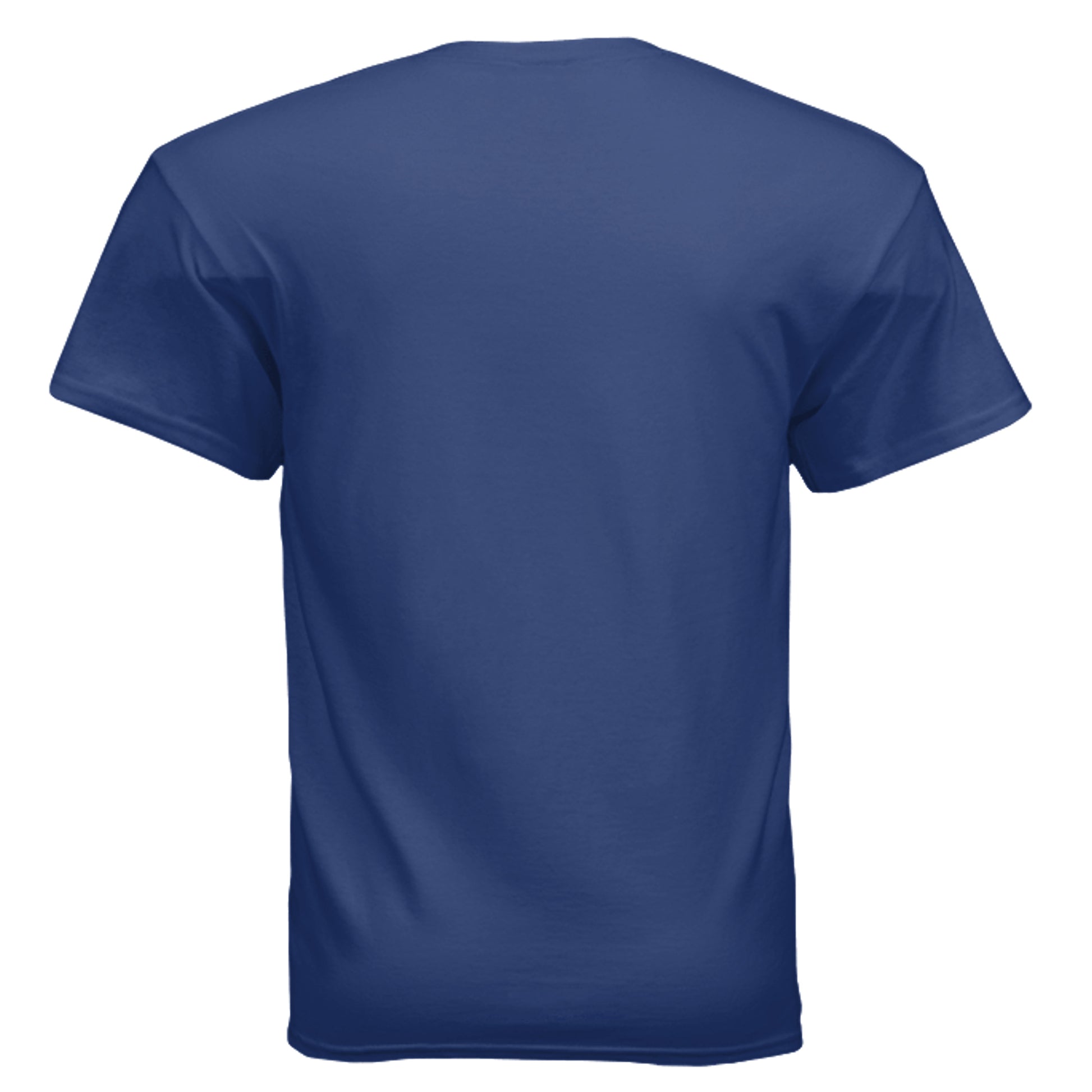 Pitching and Catching vintage baseball graphic on fan deep royal unisex heavy cotton tee, back view — Daddy Threads