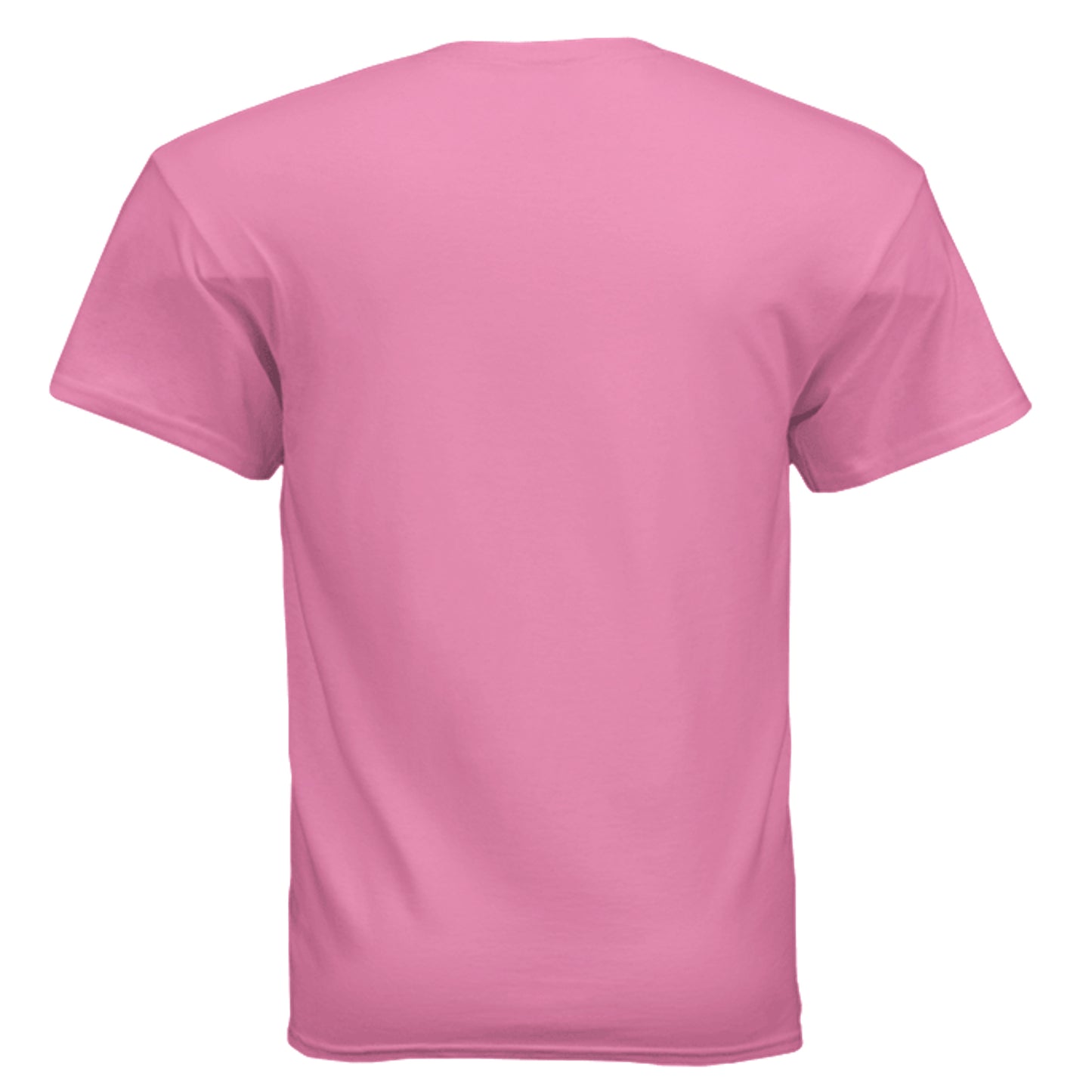 Pre-Pear 4 Rooster pun rebus graphic on azalea unisex heavy cotton tee, back view — Daddy Threads