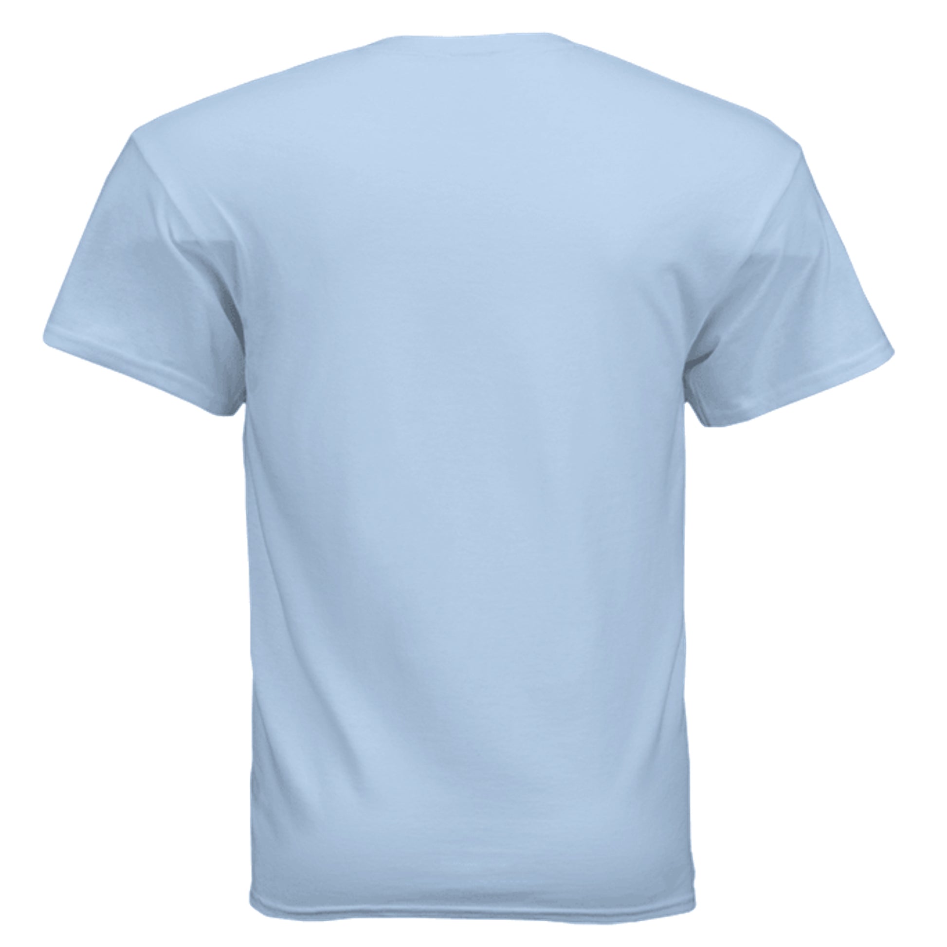 Pre-Pear 4 Rooster pun rebus graphic on light blue unisex heavy cotton tee, back view — Daddy Threads